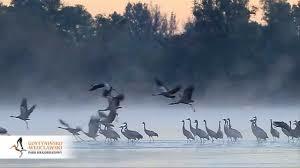 Gostynińsko-Włocławski Park Krajobrazowy